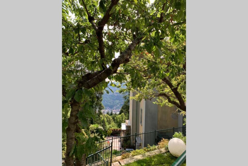 브루나테 The Cherry Garden House Loft Lusso 아파트 외부 사진